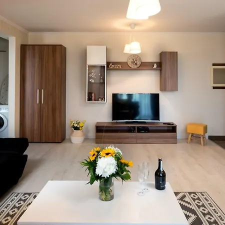 Mathe Apartment Timisoara